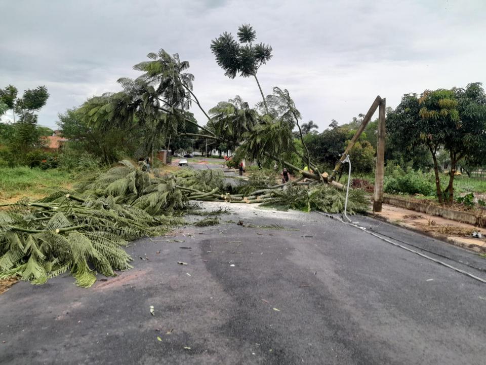 Foto 35 de 40 — Veja fotos do cenário em Boa Esperança do Sul após forte temporal